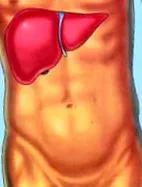 jetra virusi