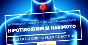 alulműködés
