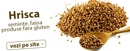 hajdina