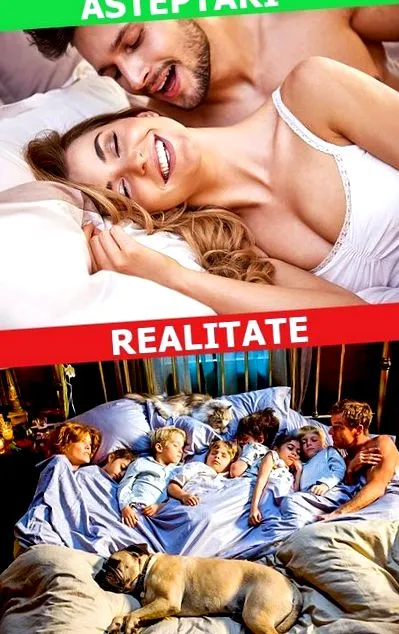 megmutatja