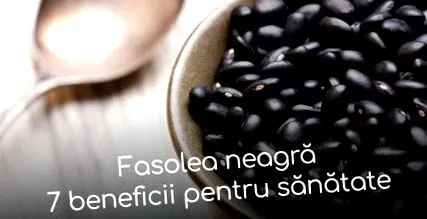 fresh fontos