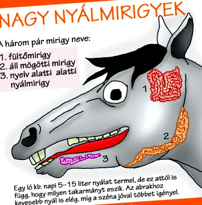 хранене хранене