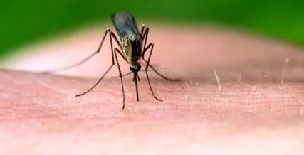 envira envira