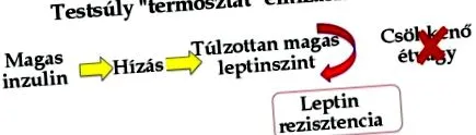 отслабнете телесните