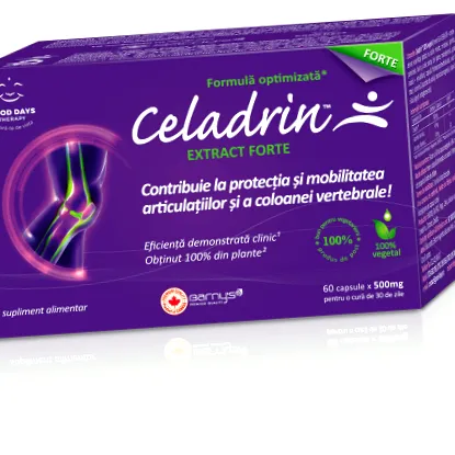 vállízületi