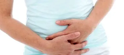 felelős