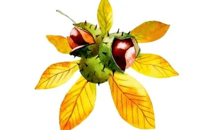 varice