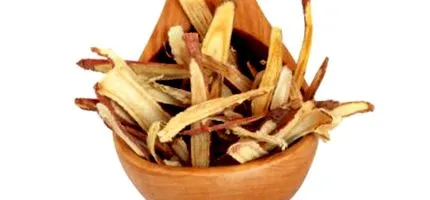 glabra glycyrrhiza