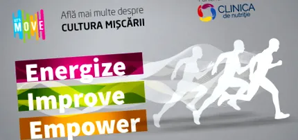 szerző engedd