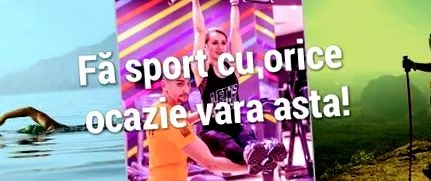 szerző engedd