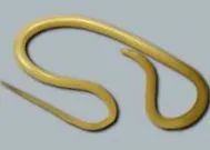 székleten keresztül