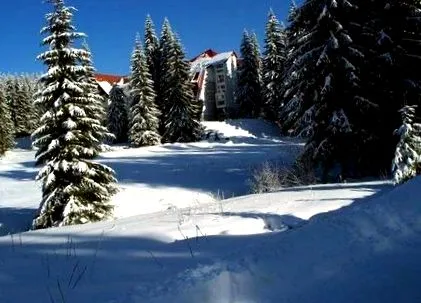 hely télen