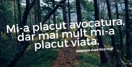 avocatoo