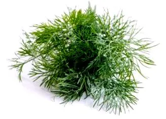 tartalmaz tartalmaz