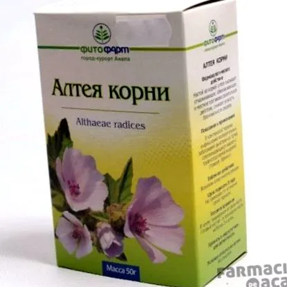 közben mellbimbók
