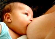 mastitis