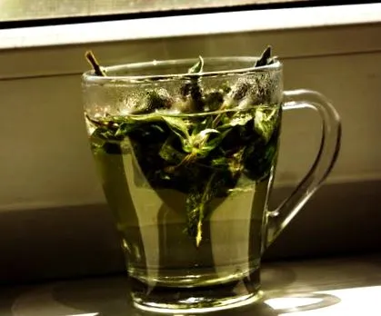 gyomorrontás menta