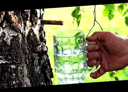 csoda