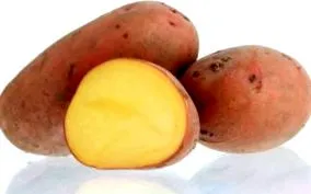 светът