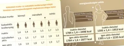 енергетичний баланс баланс