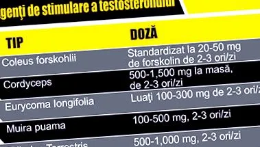 ÉGÉSÉHEZ Blogcikkek anabolizmus