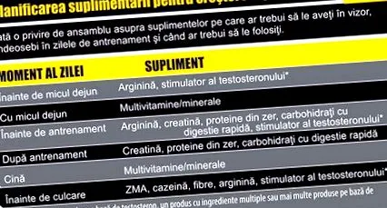 anabolizmus blogcikkek