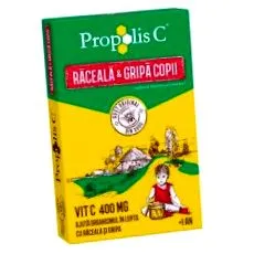 príroda