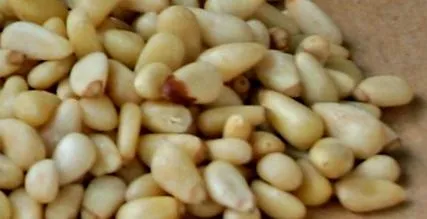 chuť