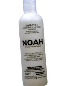 noah
