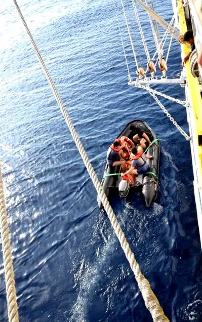 neptunussal neptunussal