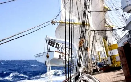 neptunussal honvédelmi