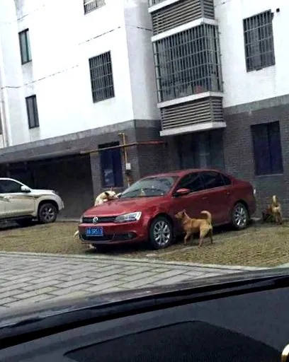 elhitetik