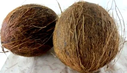 kókuszos