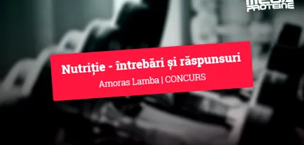 въпроси въпроси