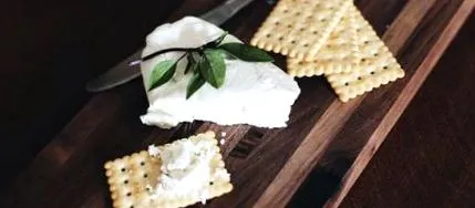 tippek