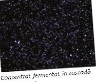 koncentrátumokban