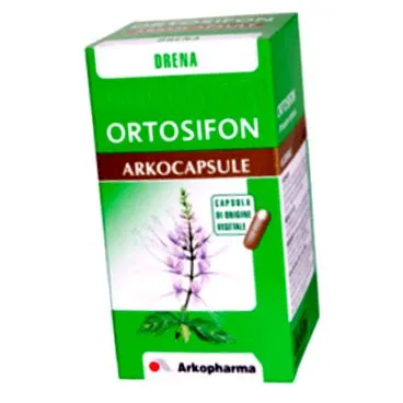ортосифон