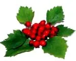 galagonya