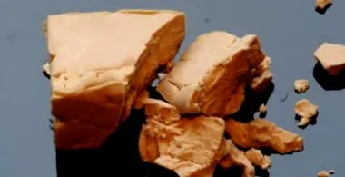 egészséges beteg