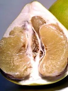 режим pomelo