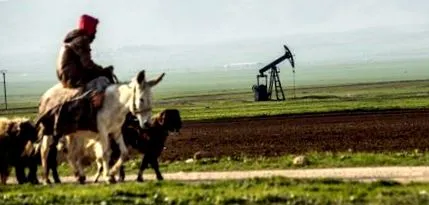 нафтената изгледа