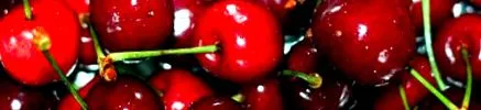 проект