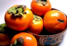 persimmon