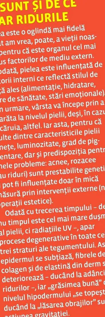 megértése