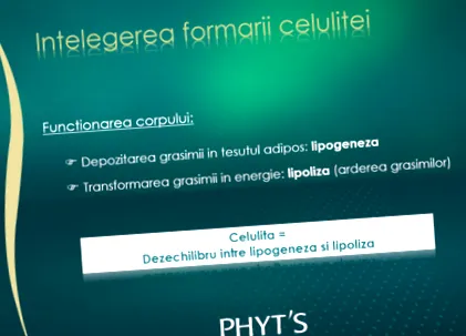 фитаза силуета