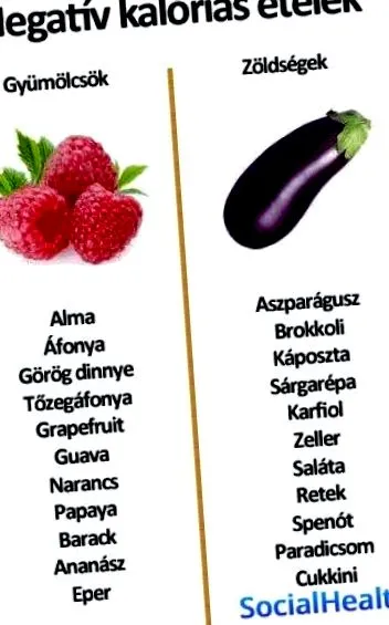 grăsimilor