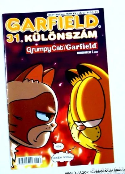 2018 garfield