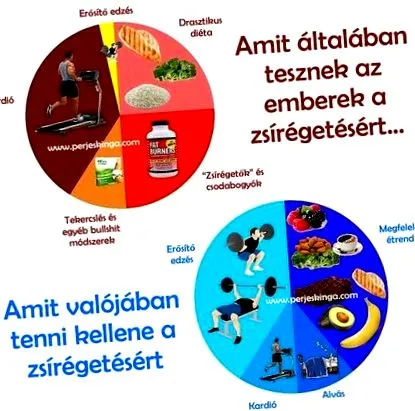 мазнини мазнини