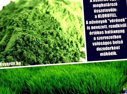 знаели положителни