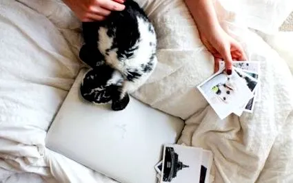 които които